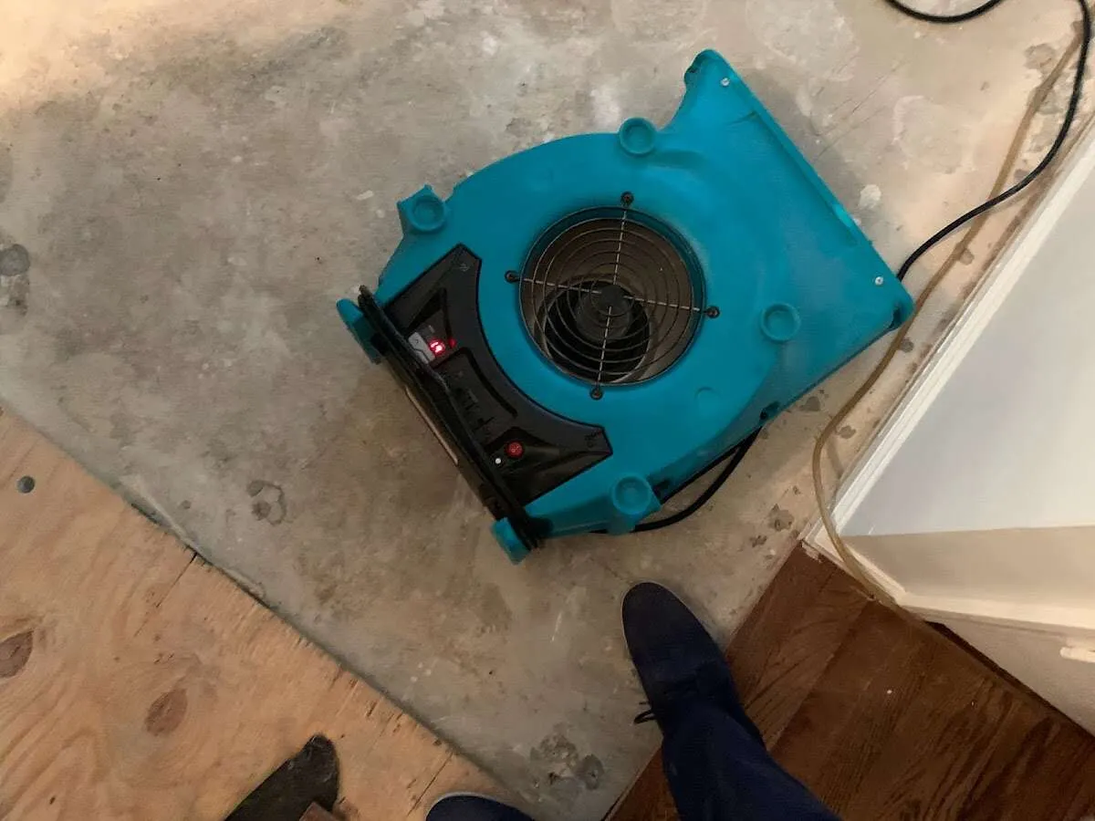 Air mover drying subfloor during Leak Detection & Repair in Margaret